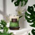 Picture of White Jasmine,HomeLights 3-Layer Highly Scented Candles